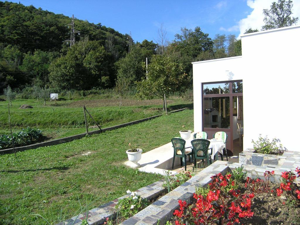Apartments Rajkovic Labin  Quarto foto