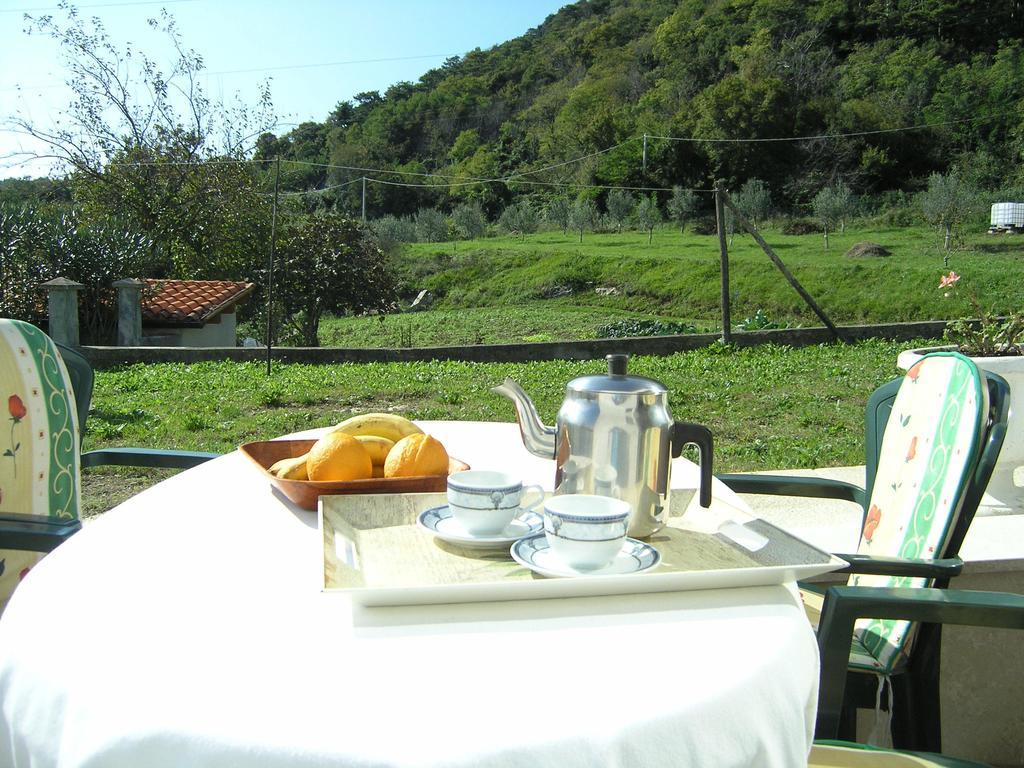 Apartments Rajkovic Labin  Quarto foto